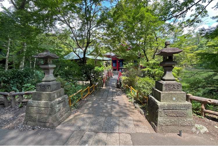 井の頭恩賜公園の写真