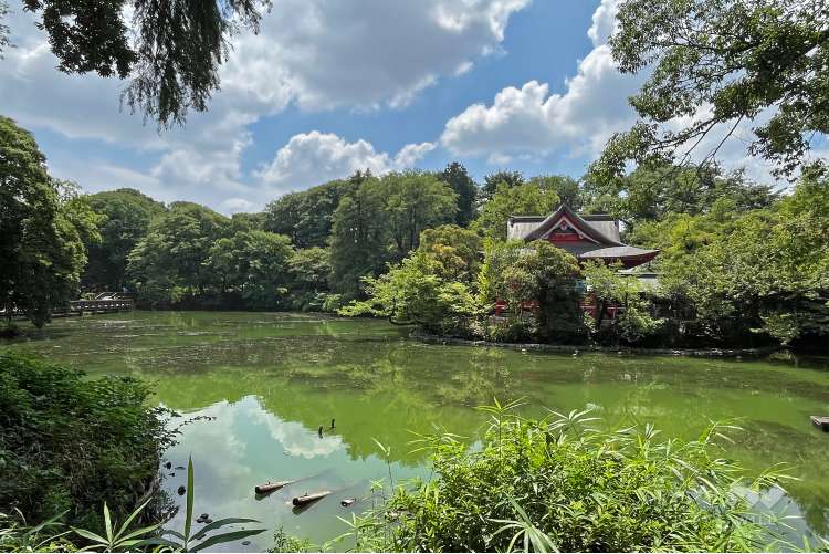 井の頭恩賜公園の写真