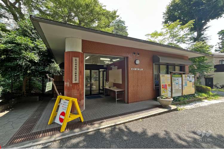 井の頭恩賜公園の写真