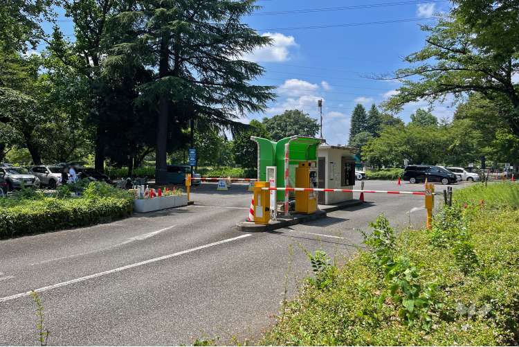 小金井公園の写真