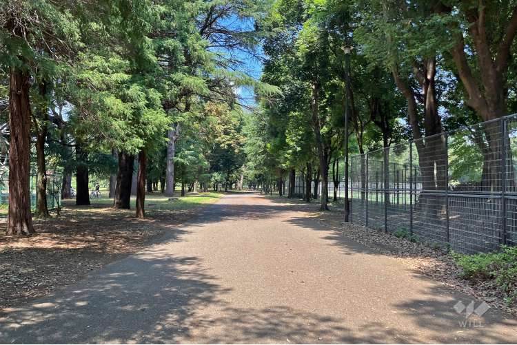 小金井公園の写真