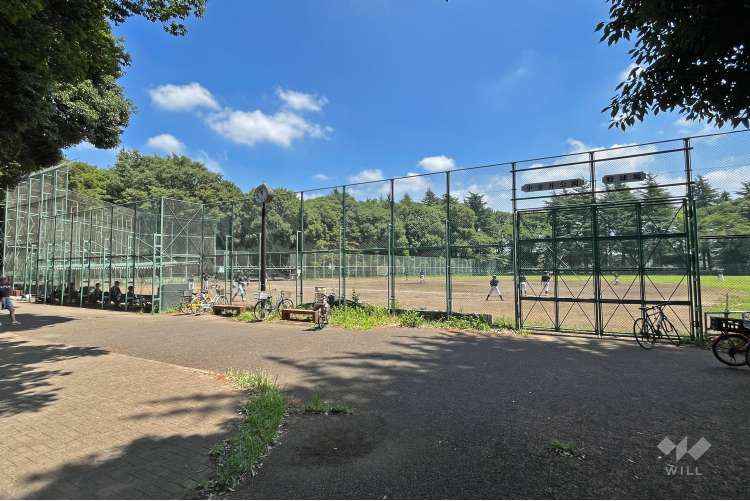 小金井公園の写真