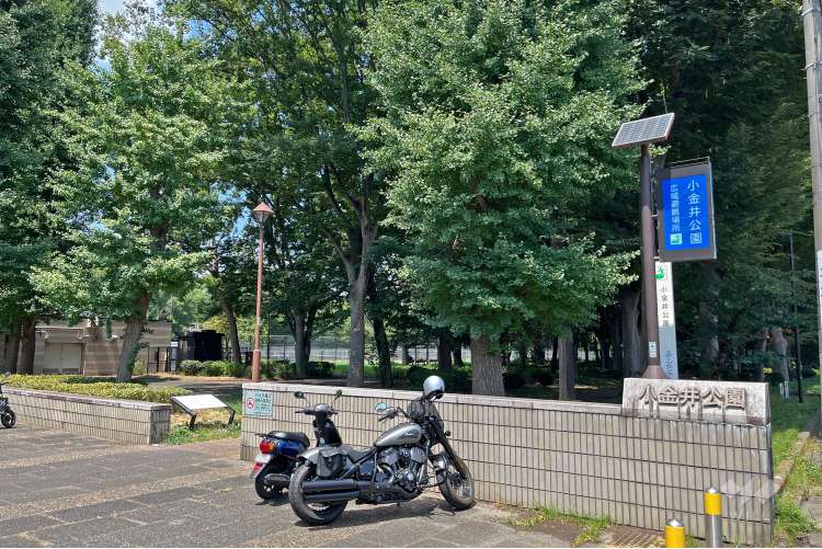 小金井公園の写真