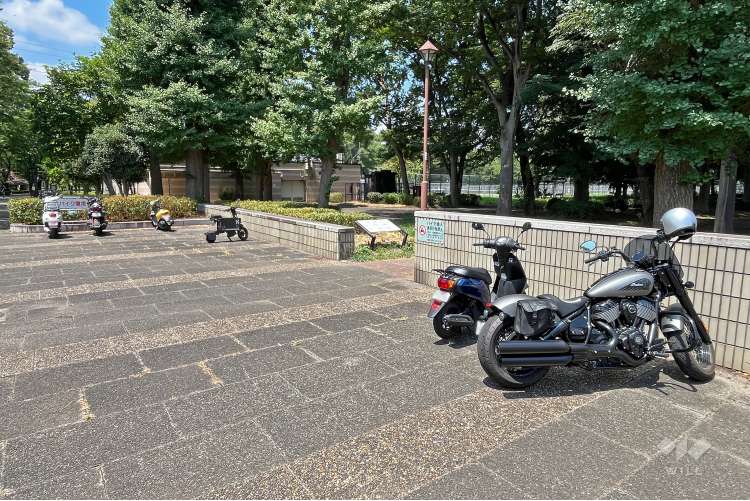 小金井公園の写真