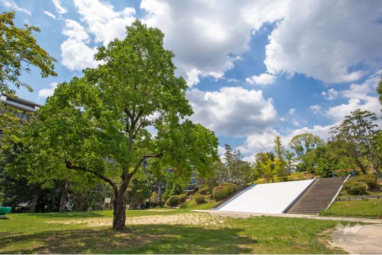 ふじのき公園の写真