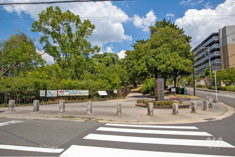 藤白公園の写真