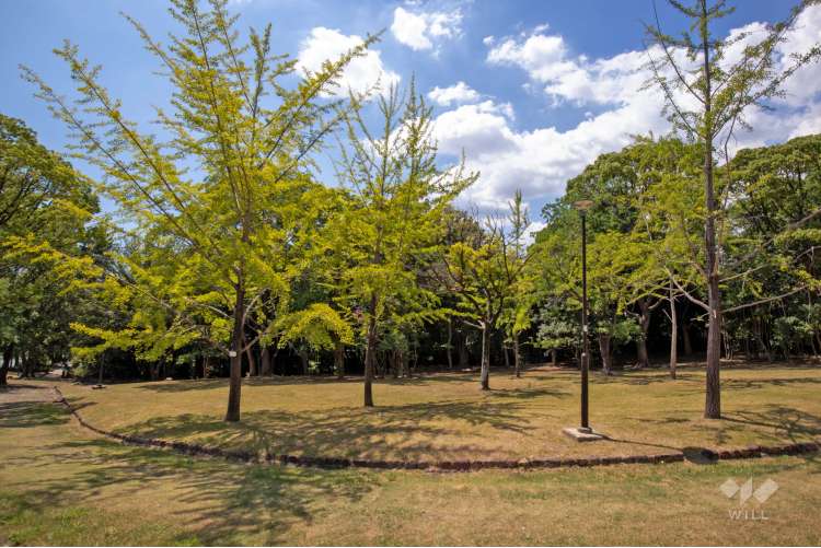 藤白公園の写真
