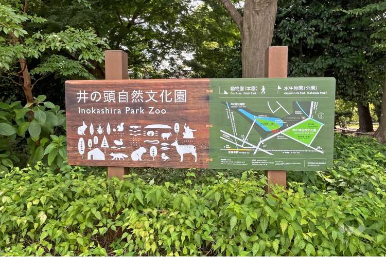 井の頭自然文化園の写真