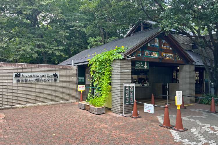 井の頭自然文化園の写真