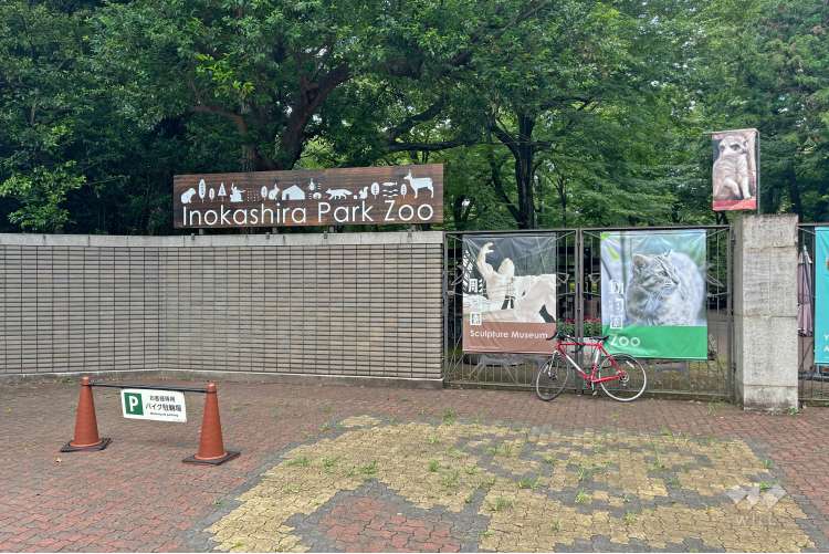 井の頭自然文化園の写真