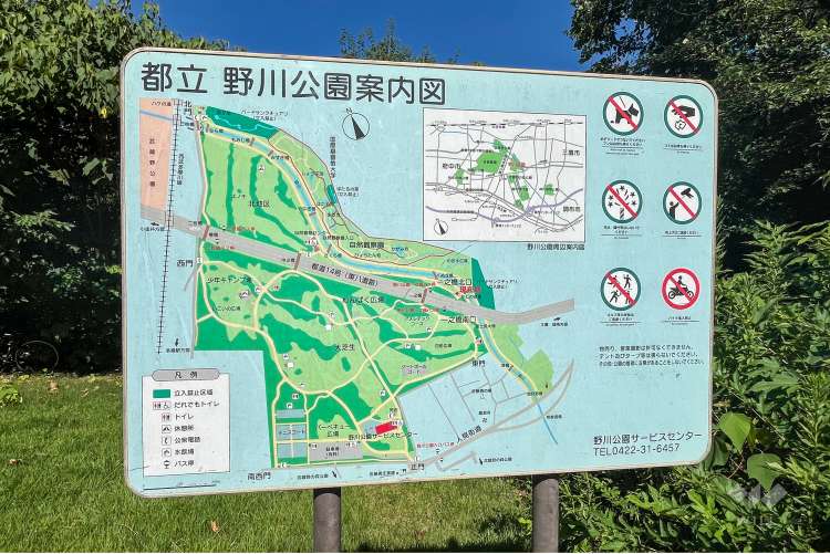 野川公園の写真
