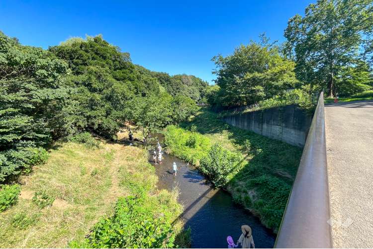 野川公園の写真