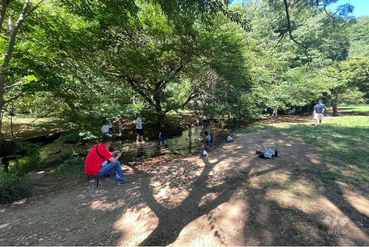 野川公園の写真