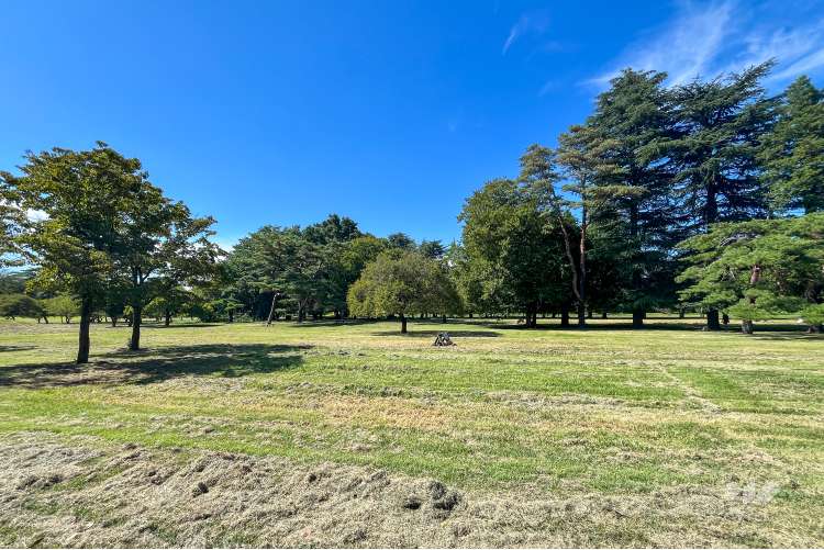 野川公園の写真
