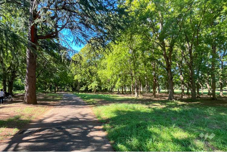 野川公園の写真