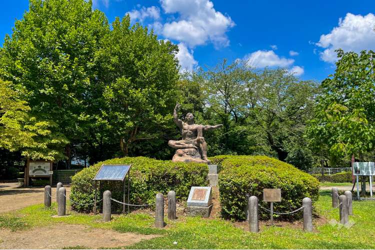 仙川平和公園の写真