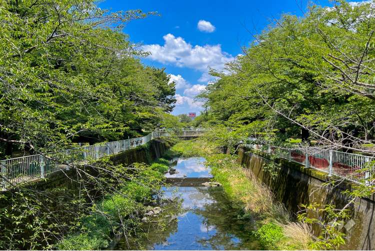 仙川平和公園の写真