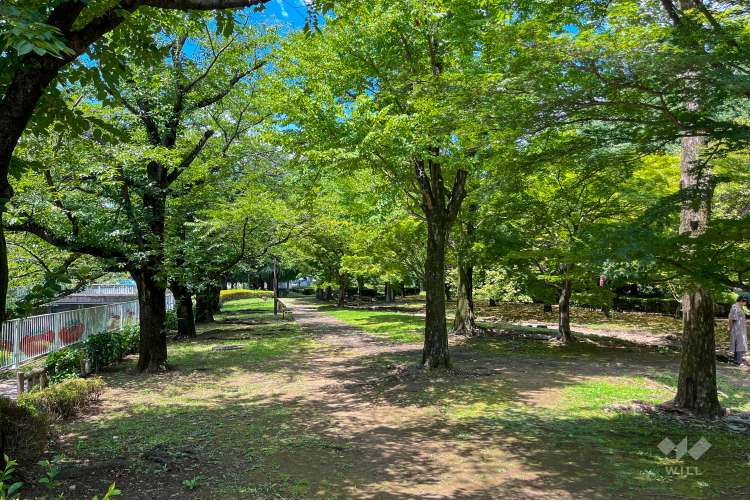 仙川平和公園の写真