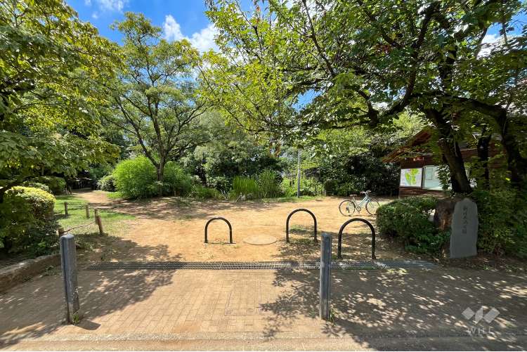 丸池公園の写真