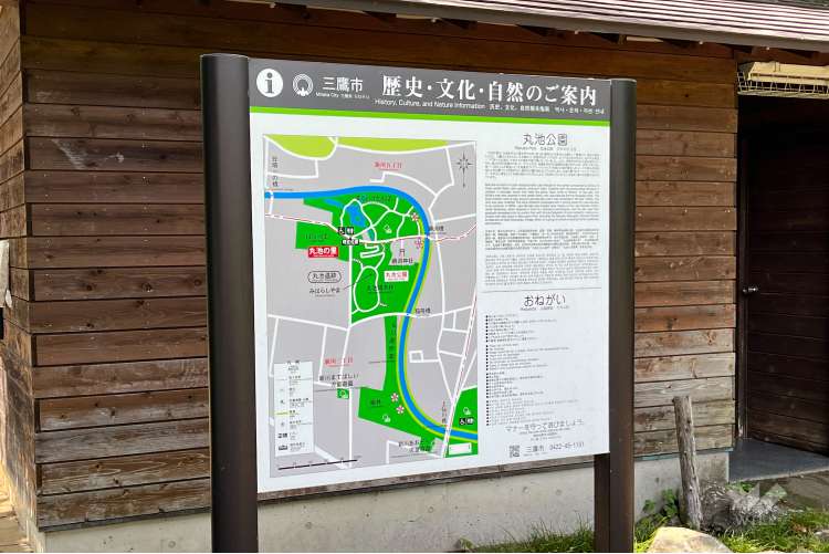 丸池公園の写真