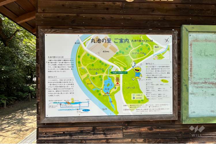 丸池公園の写真
