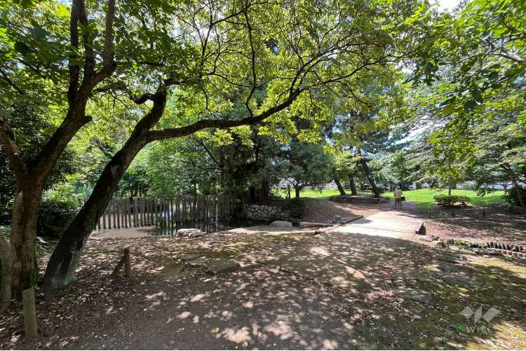 丸池公園の写真