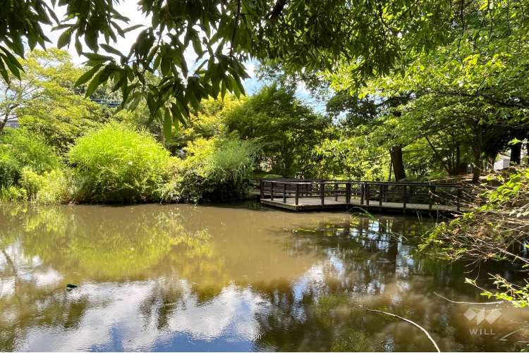丸池公園の写真
