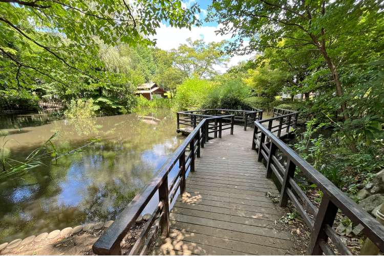 丸池公園の写真