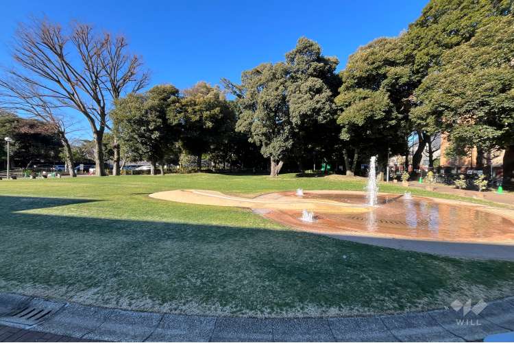 目白台運動公園の写真