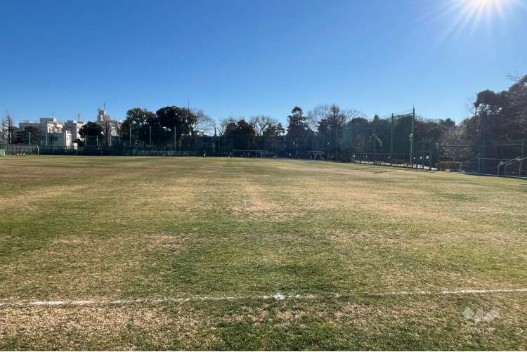目白台運動公園の写真