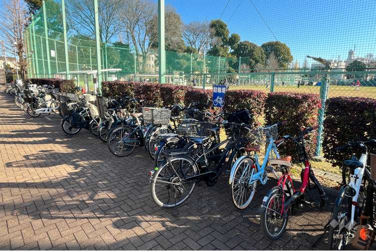 目白台運動公園の写真
