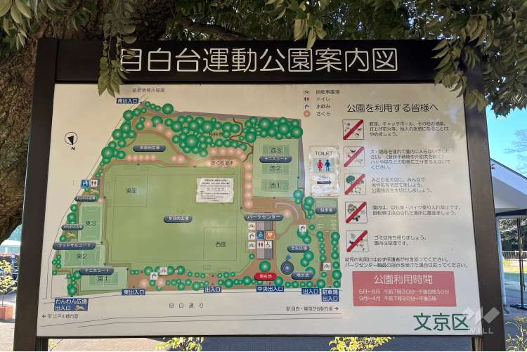 目白台運動公園の写真