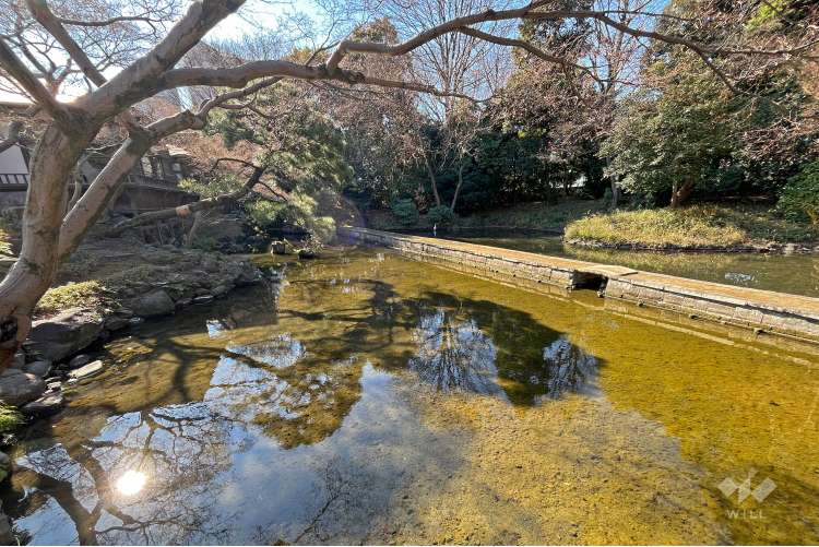 小石川後楽園の写真