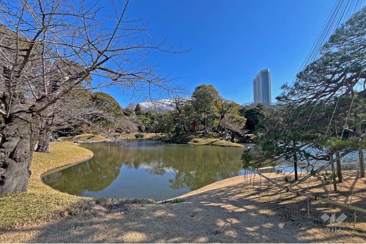小石川後楽園の写真