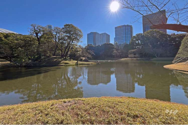 小石川後楽園の写真