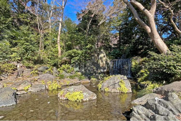 小石川後楽園の写真