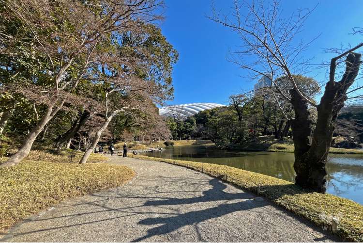 小石川後楽園の写真