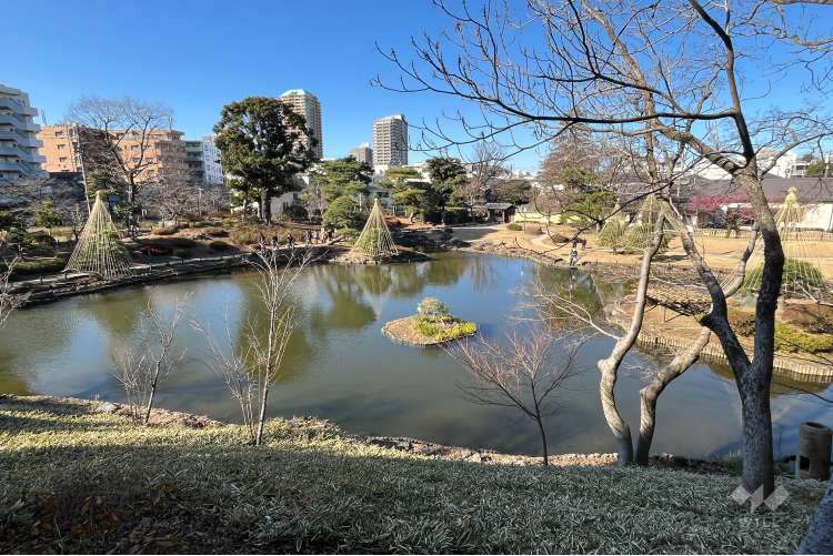肥後細川庭園の写真