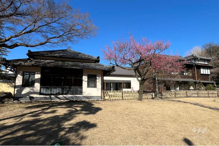肥後細川庭園の写真