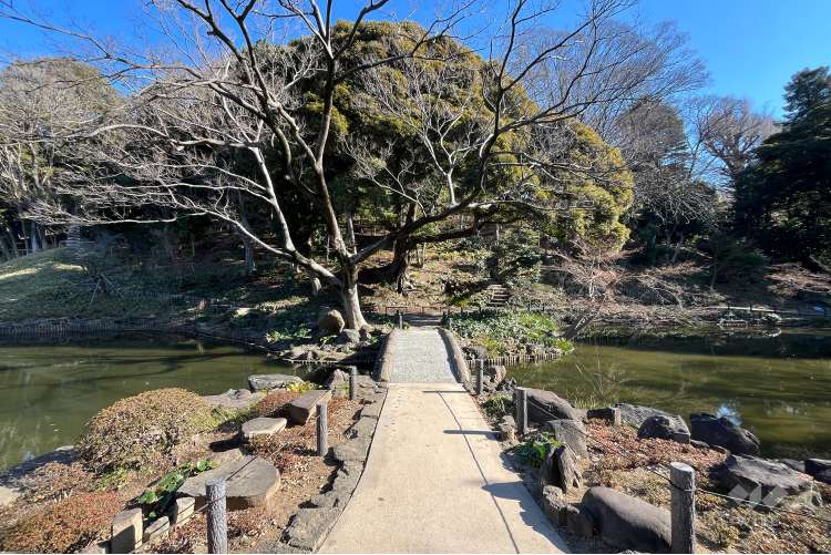 肥後細川庭園の写真