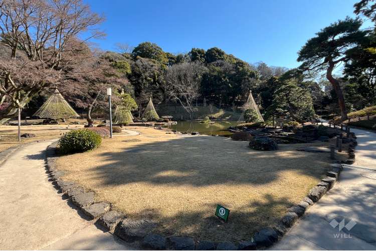 肥後細川庭園の写真