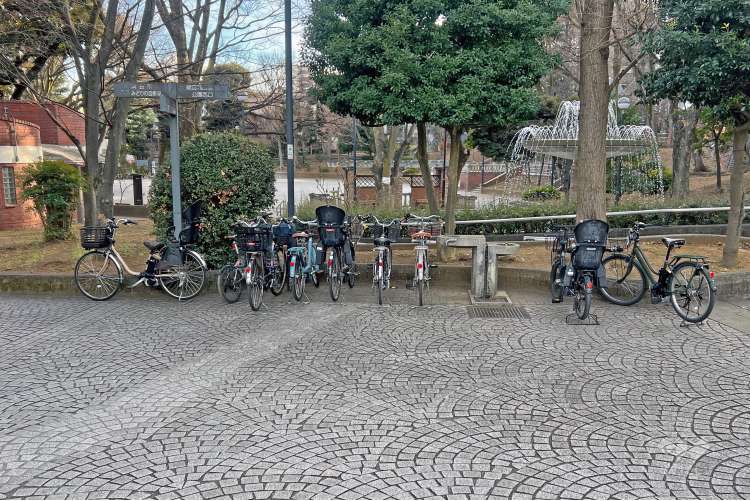 大塚公園の写真