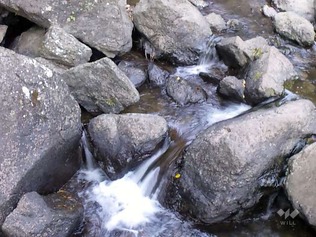 滝道（箕面大滝に至る散歩道）6