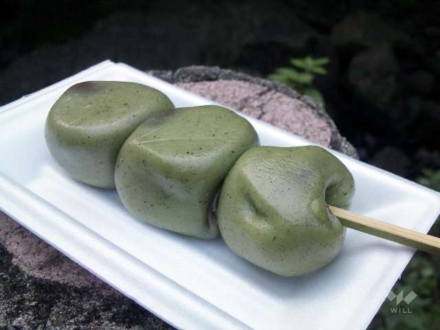 滝道（箕面大滝に至る散歩道）9