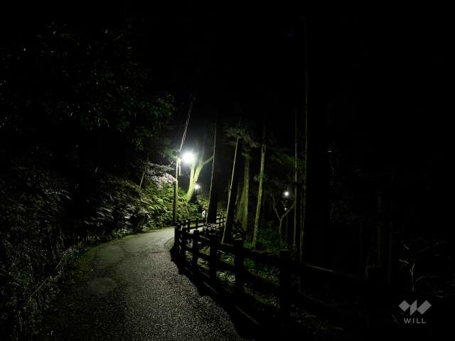 滝道（箕面大滝に至る散歩道）19