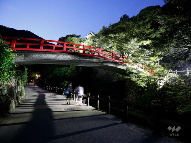 滝道（箕面大滝に至る散歩道）20