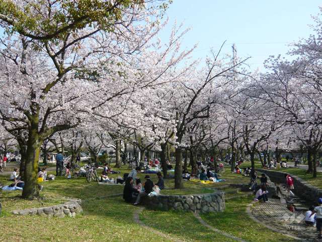 西武庫公園3