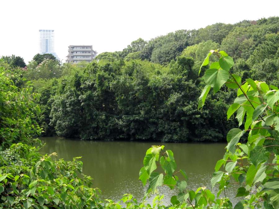 千里中央公園10