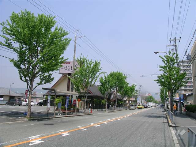 ロマンチック街道1