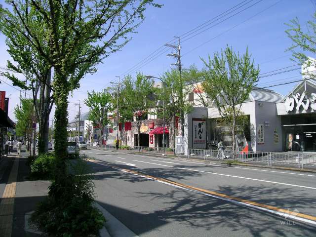 ロマンチック街道5